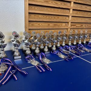 Íslandsmót öldunga í borðtennis 2026